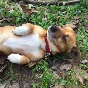 Meet your Posher, Valeria